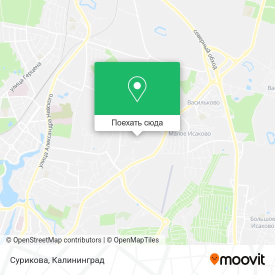 Карта Сурикова