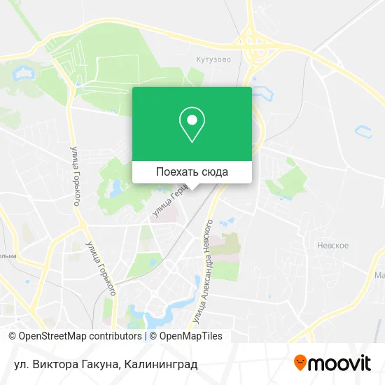 Карта ул. Виктора Гакуна