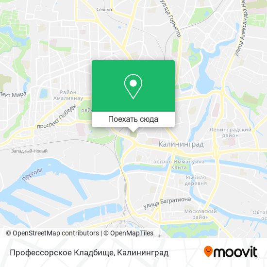 Карта Профессорское Кладбище