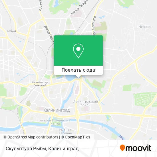 Карта Скульптура Рыбы