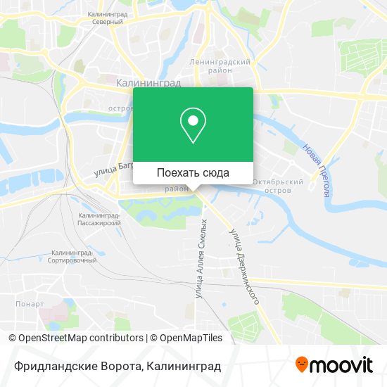 Карта Фридландские Ворота