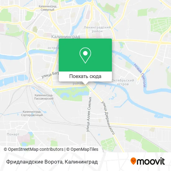 Карта Фридландские Ворота