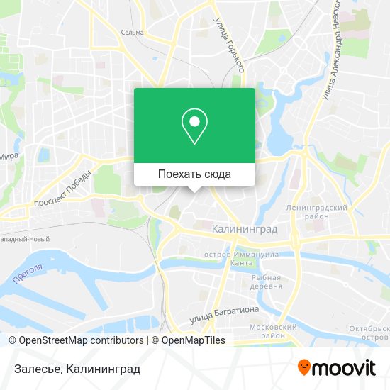 Карта Залесье