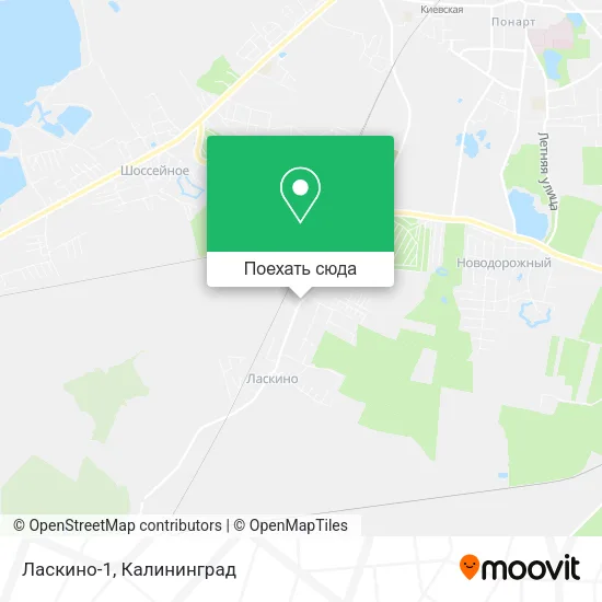 Карта Ласкино-1