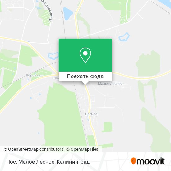 Карта Пос. Малое Лесное
