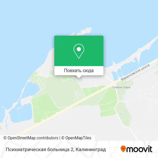 Карта Психиатрическая больница 2