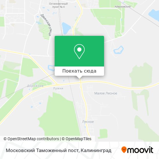 Карта Московский Таможенный пост