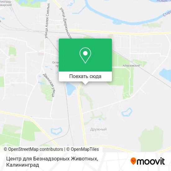 Карта Центр для Безнадзорных Животных