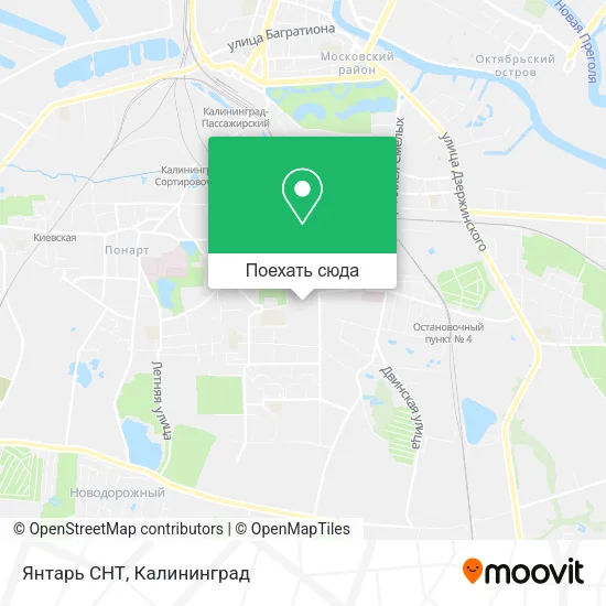 Карта Янтарь СНТ