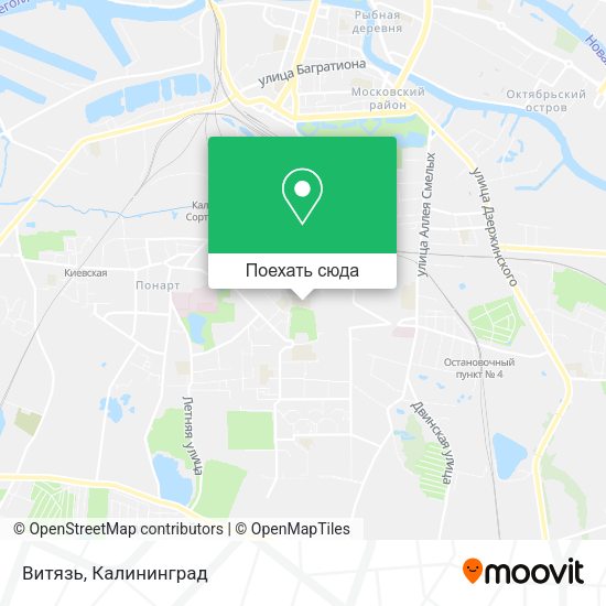 Карта Витязь