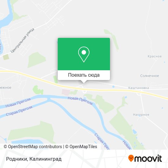 Карта Родники