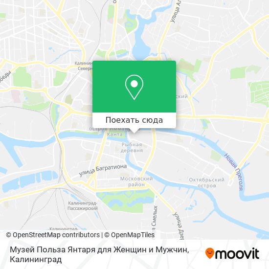 Карта Музей Польза Янтаря для Женщин и Мужчин