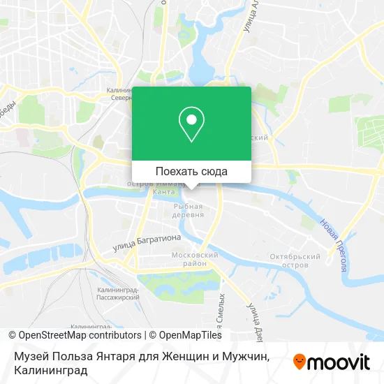 Карта Музей Польза Янтаря для Женщин и Мужчин