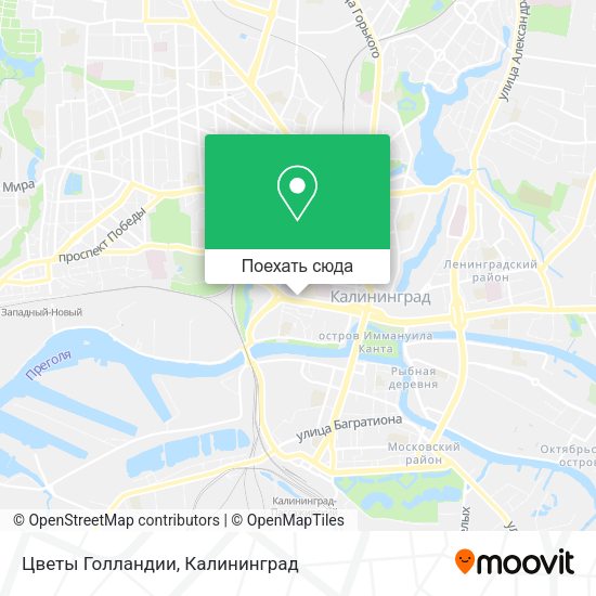 Карта Цветы Голландии
