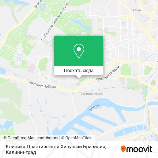 Карта Клиника Пластической Хирургии Бразилия
