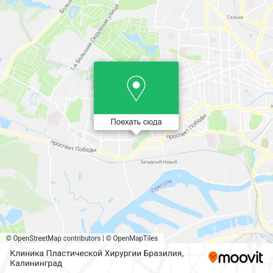 Карта Клиника Пластической Хирургии Бразилия
