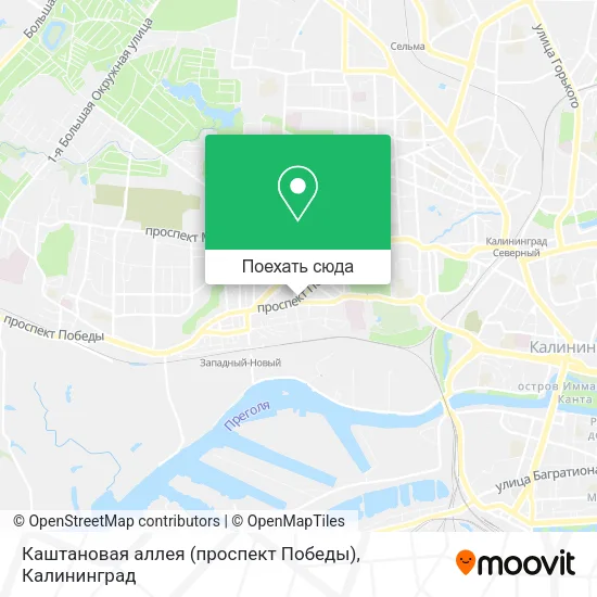 Карта Каштановая аллея (проспект Победы)