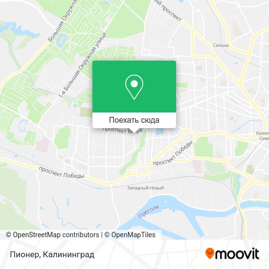 Карта Пионер