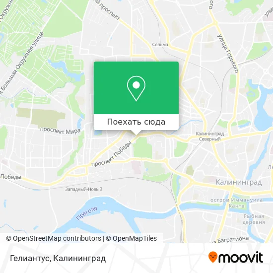 Карта Гелиантус