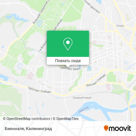Карта Биеннале