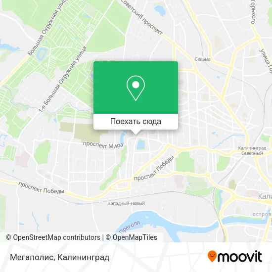 Карта Мегаполис