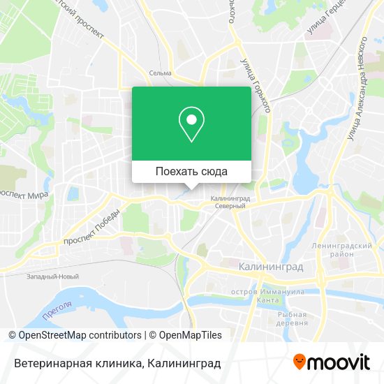 Карта Ветеринарная клиника