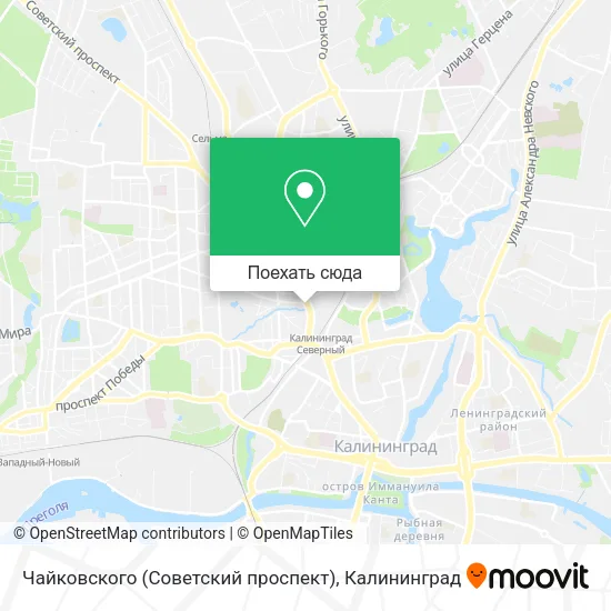 Карта Чайковского (Советский проспект)