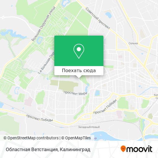 Карта Областная Ветстанция