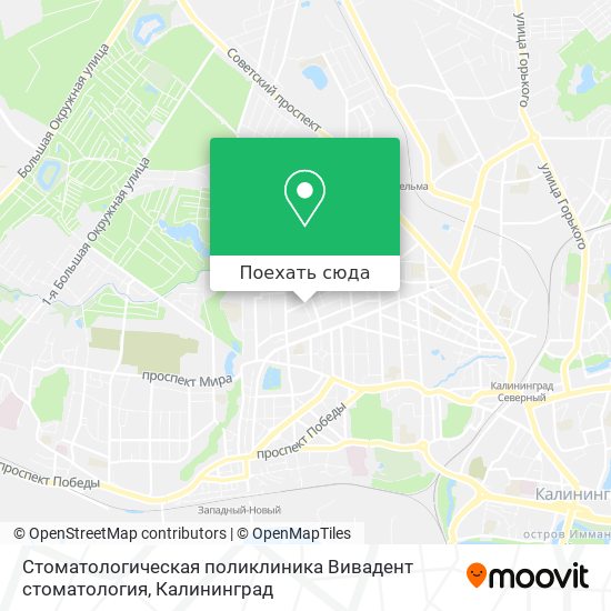 Карта Стоматологическая поликлиника Вивадент стоматология