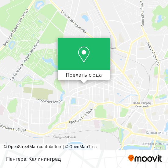Карта Пантера