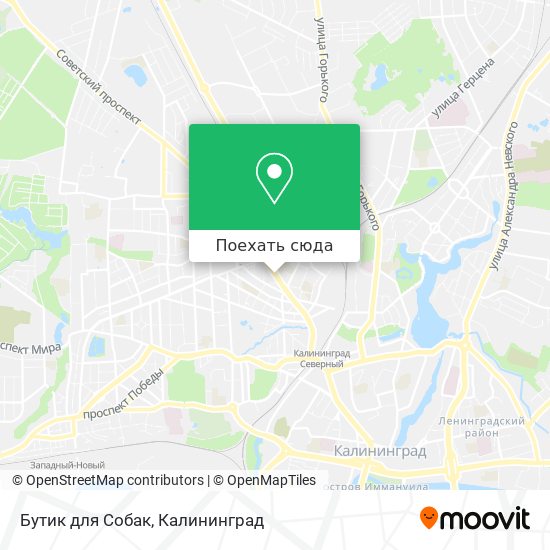 Карта Бутик для Собак