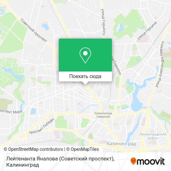 Карта Лейтенанта Яналова (Советский проспект)