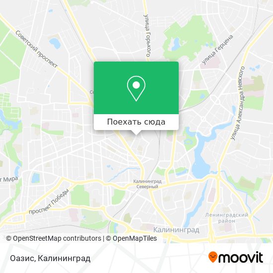 Карта Оазис
