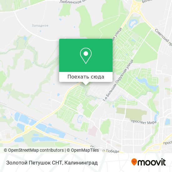 Карта Золотой Петушок СНТ