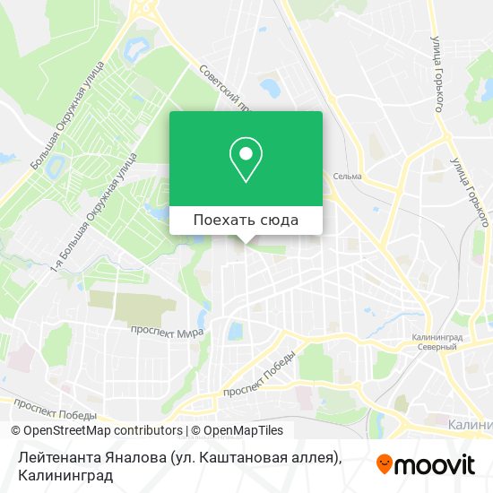 Карта Лейтенанта Яналова (ул. Каштановая аллея)