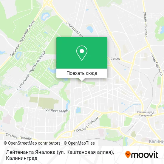 Карта Лейтенанта Яналова (ул. Каштановая аллея)