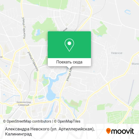 Карта Александра Невского (ул. Артиллерийская)