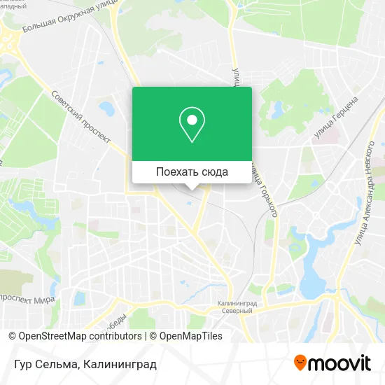 Карта Гур Сельма