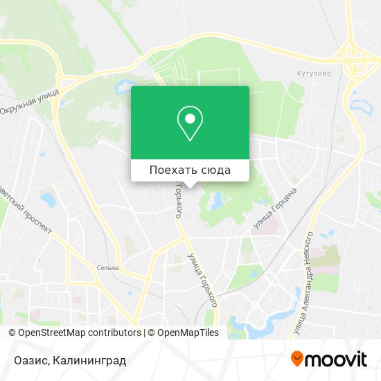 Карта Оазис