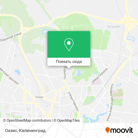 Карта Оазис