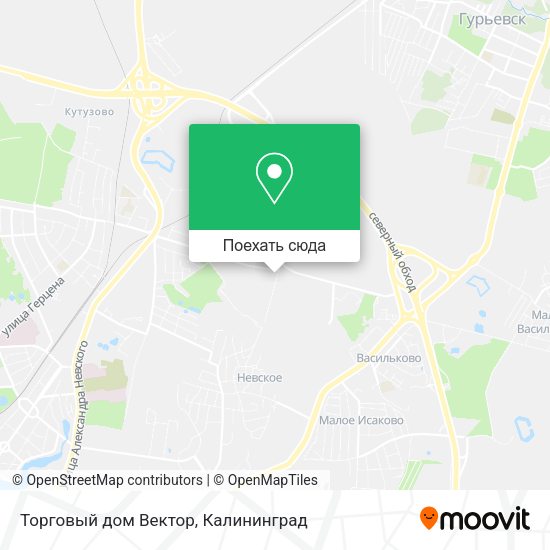 Карта Торговый дом Вектор