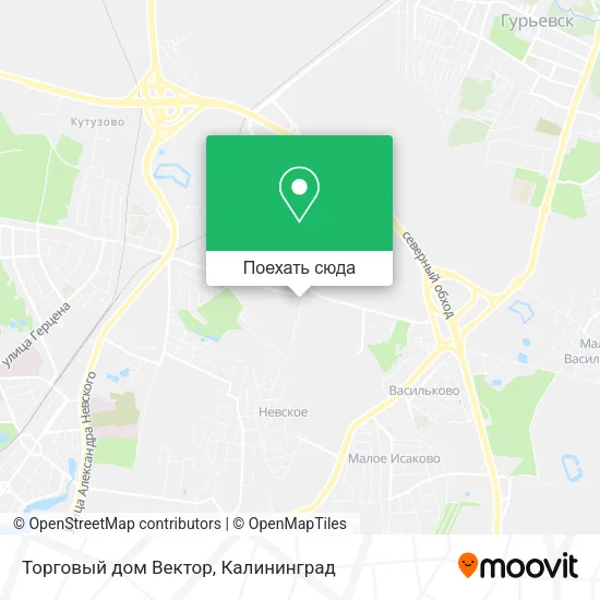 Карта Торговый дом Вектор