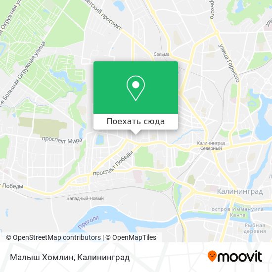 Карта Малыш Хомлин