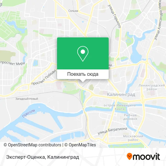 Карта Эксперт-Оценка