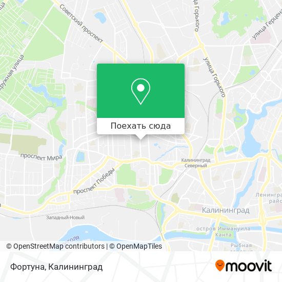Карта Фортуна