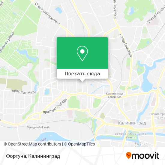 Карта Фортуна