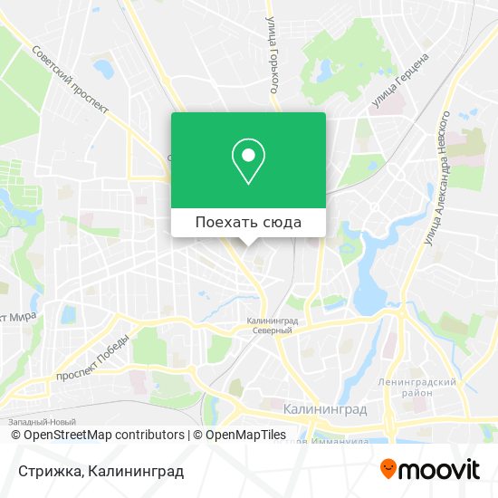 Карта Стрижка