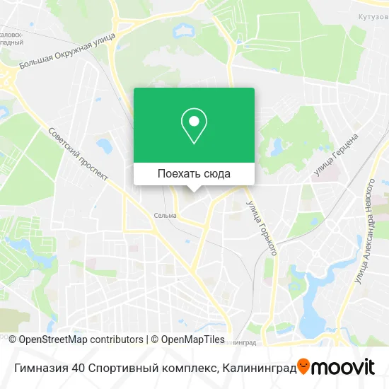 Карта Гимназия 40 Спортивный комплекс