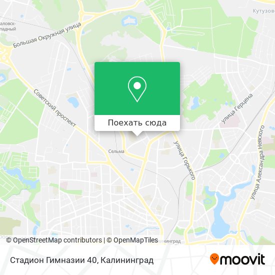 Карта Стадион Гимназии 40