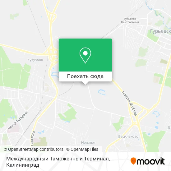 Карта Международный Таможенный Терминал